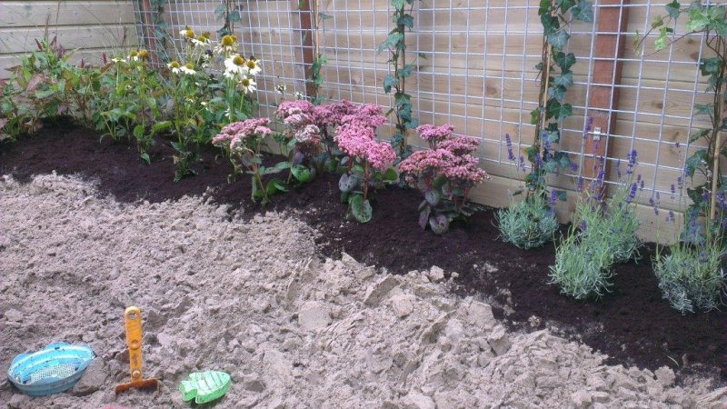 Beplanting