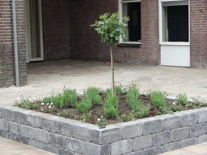 Beplanting