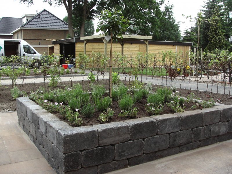 Beplanting