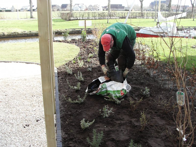 Beplanting