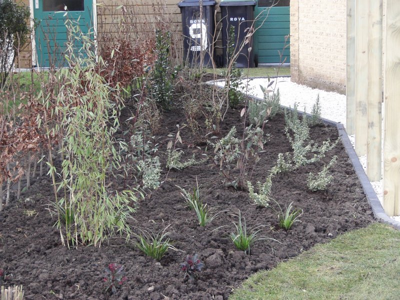 Beplanting