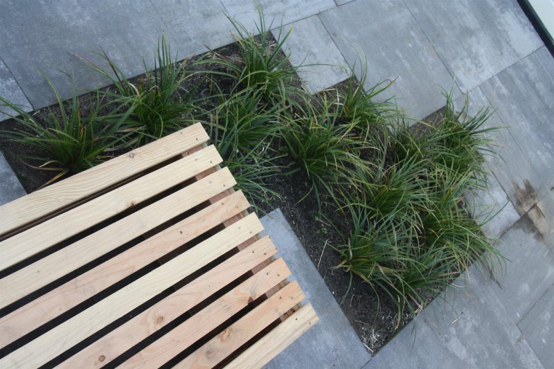 Designtuin
