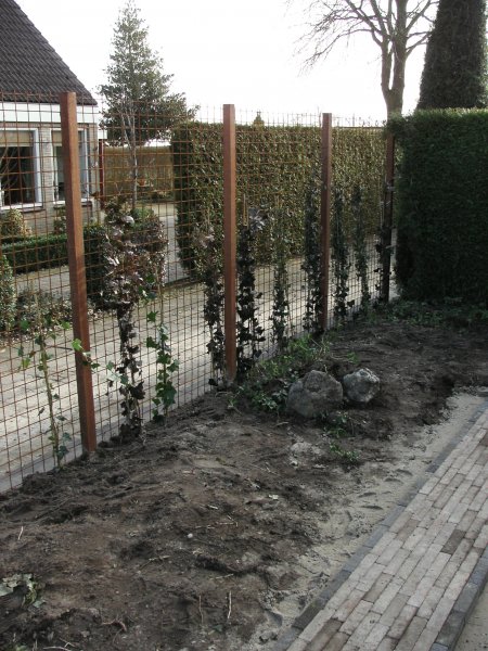 Erfafscheidingen