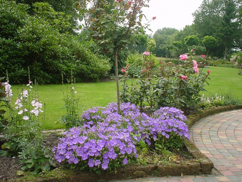 Landschapstuin