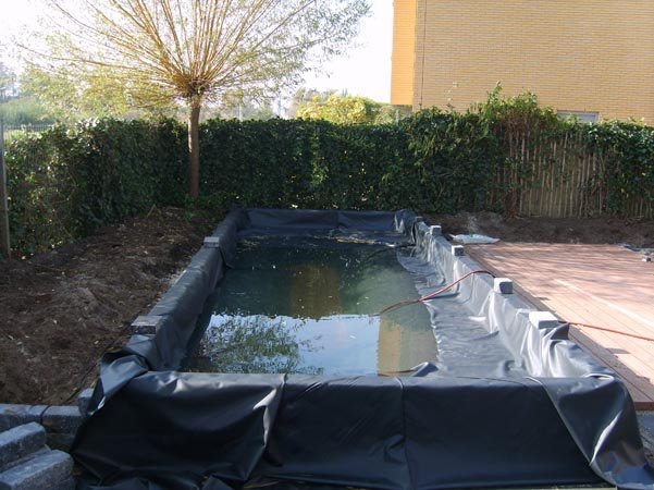 Moderne tuin