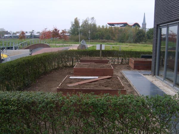 Moderne tuin