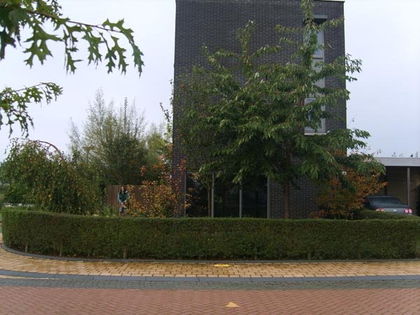Moderne tuin