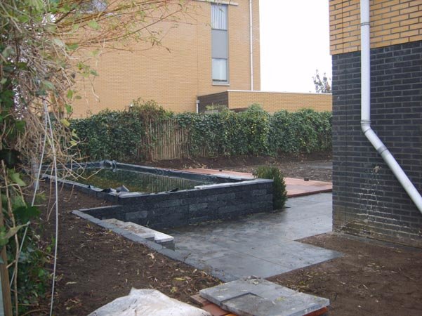 Moderne tuin