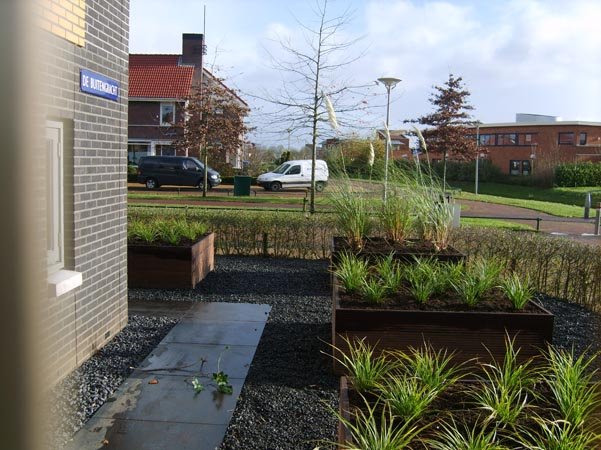 Moderne tuin