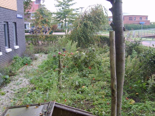 Moderne tuin