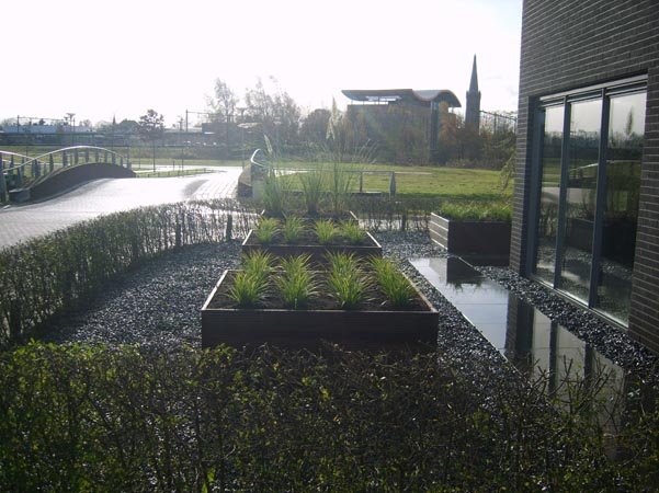 Moderne tuin