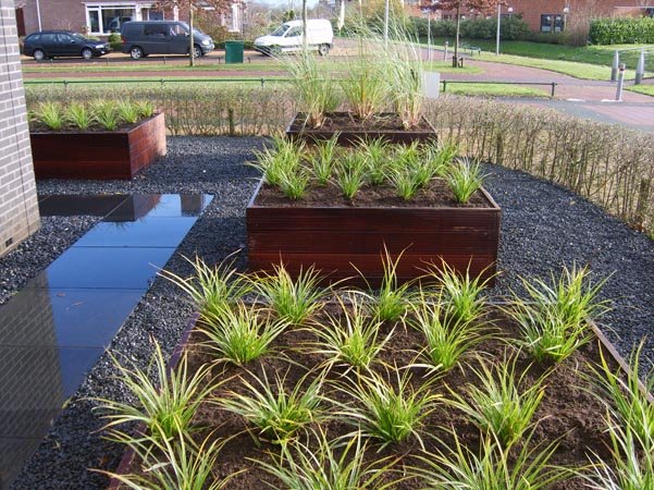Moderne tuin