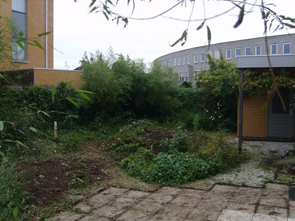 Moderne tuin