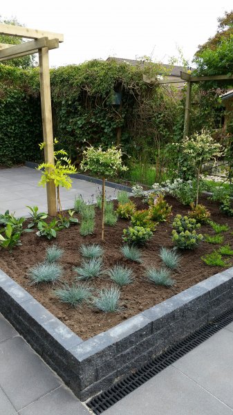 Renovatie