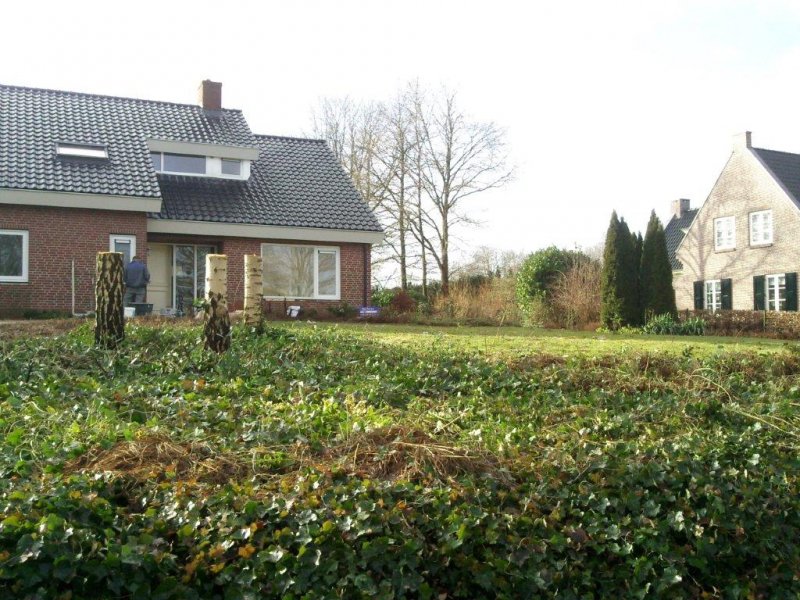 Renovatie