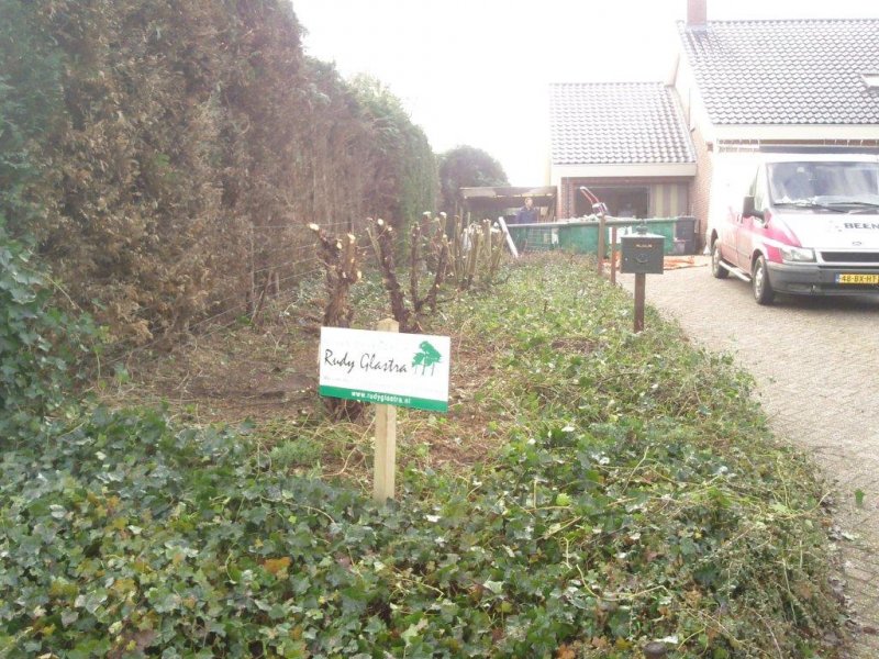 Renovatie
