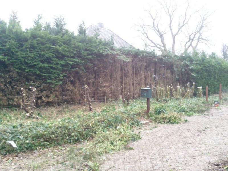 Renovatie