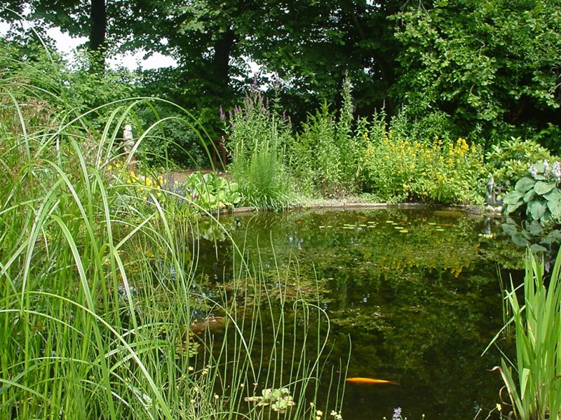 Waterpartijen